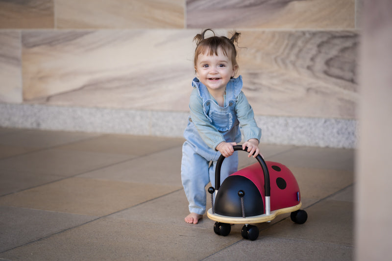 PREORDER Wheely Bug | Ladybug