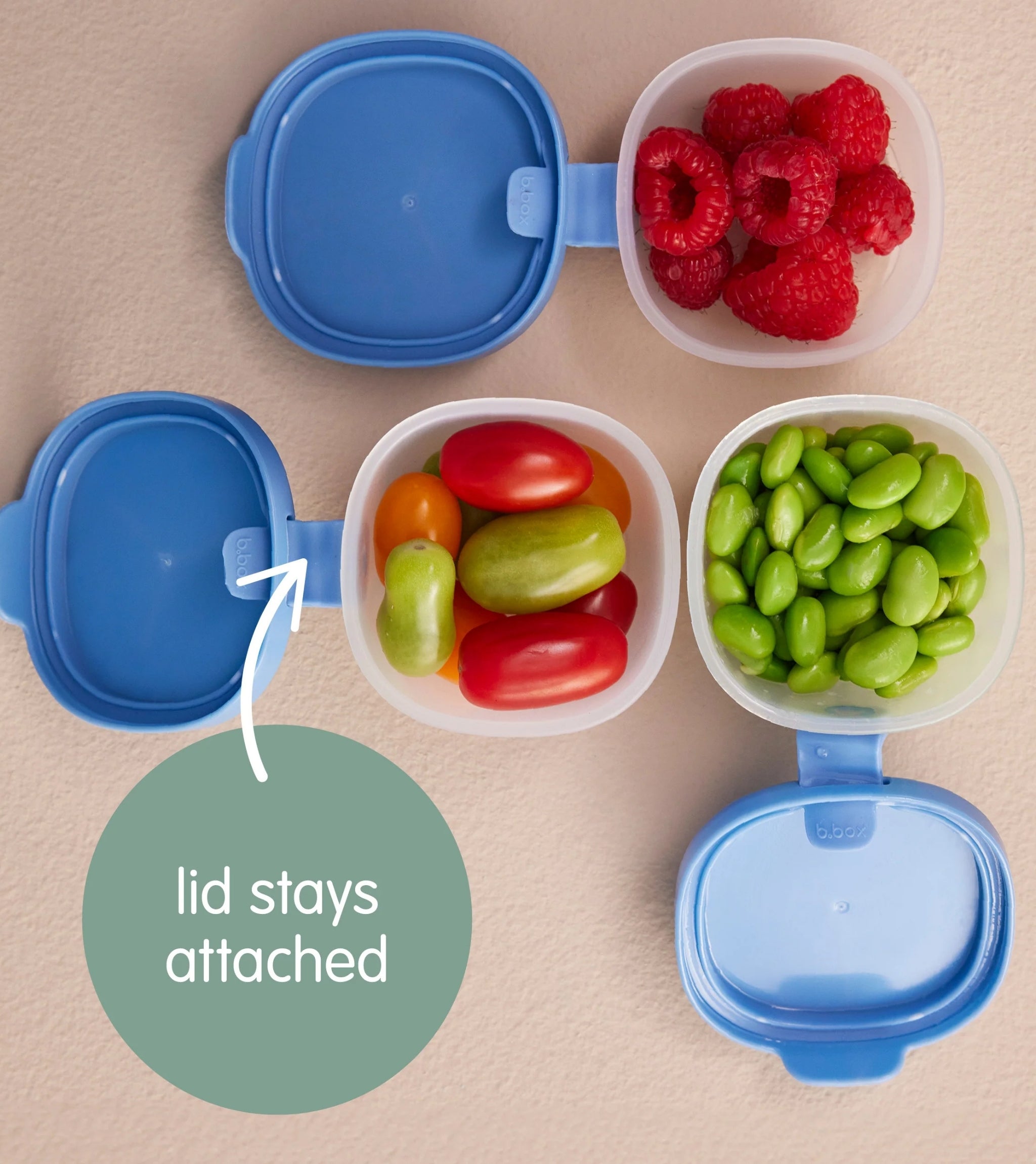 Snack Tubs Berry