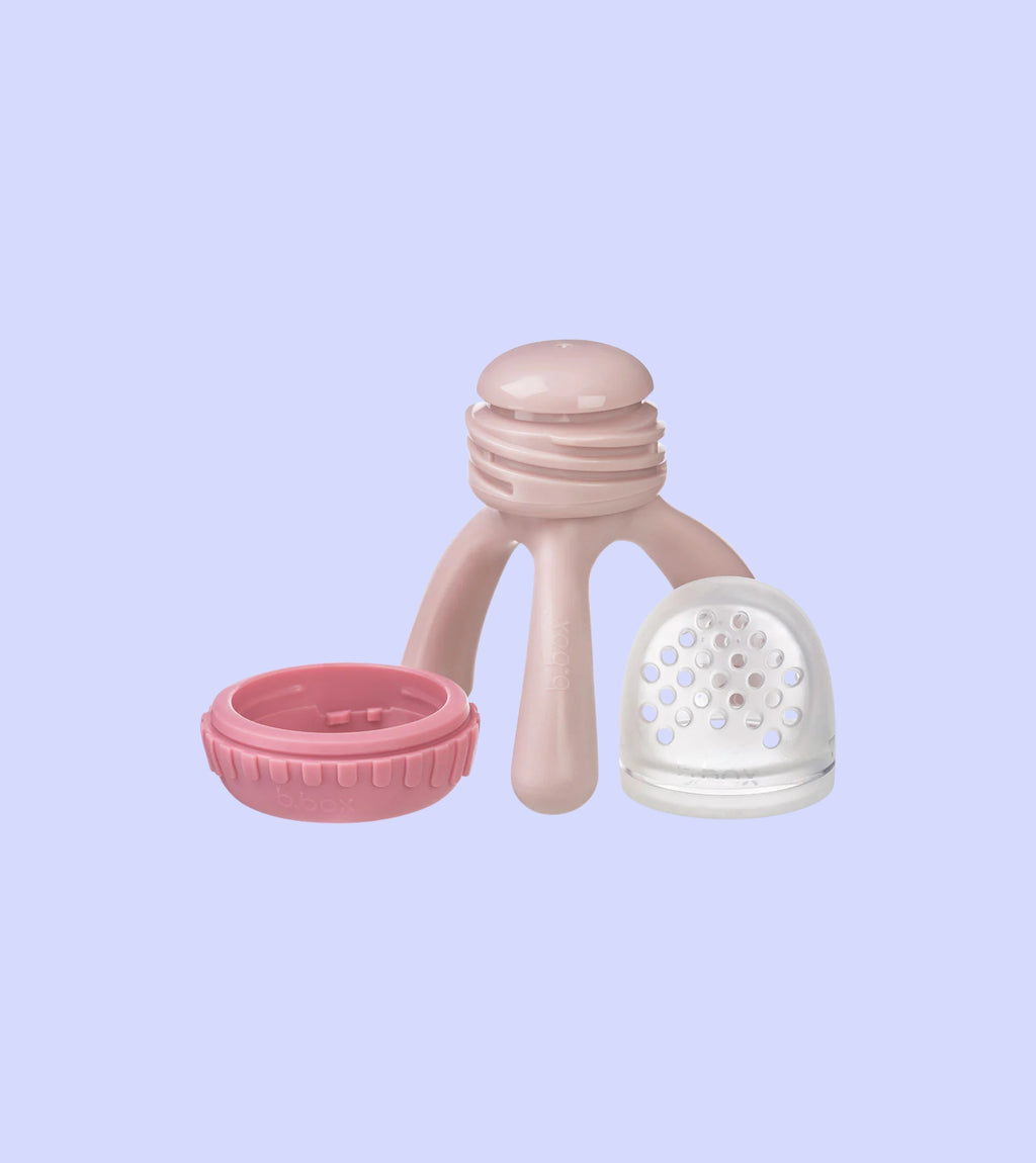 Silicone Fresh Food Feeder Blush