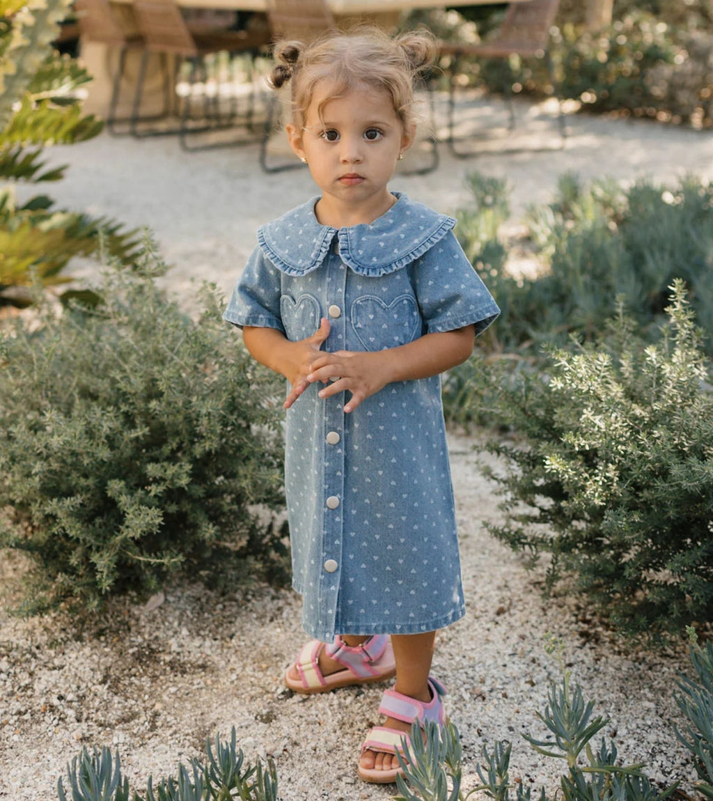 Amour Dress Denim Hearts
