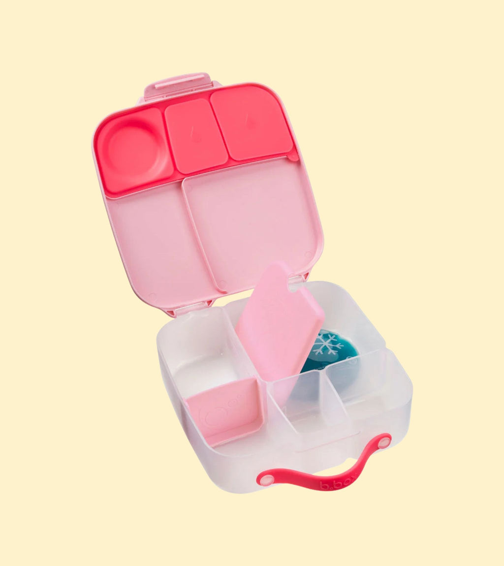 Lunchbox Flamingo Fizz