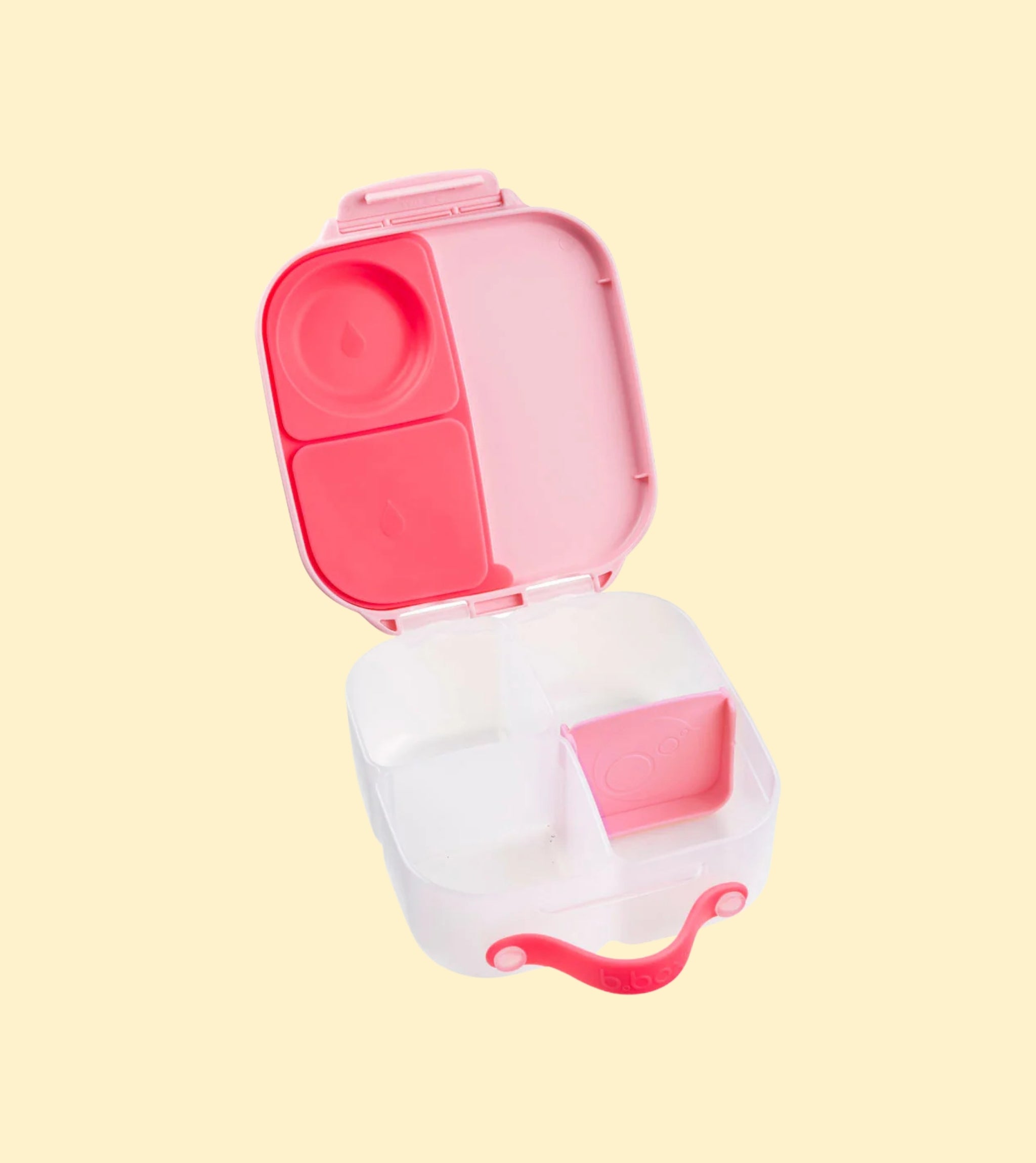 Mini Lunchbox Flamingo Fizz