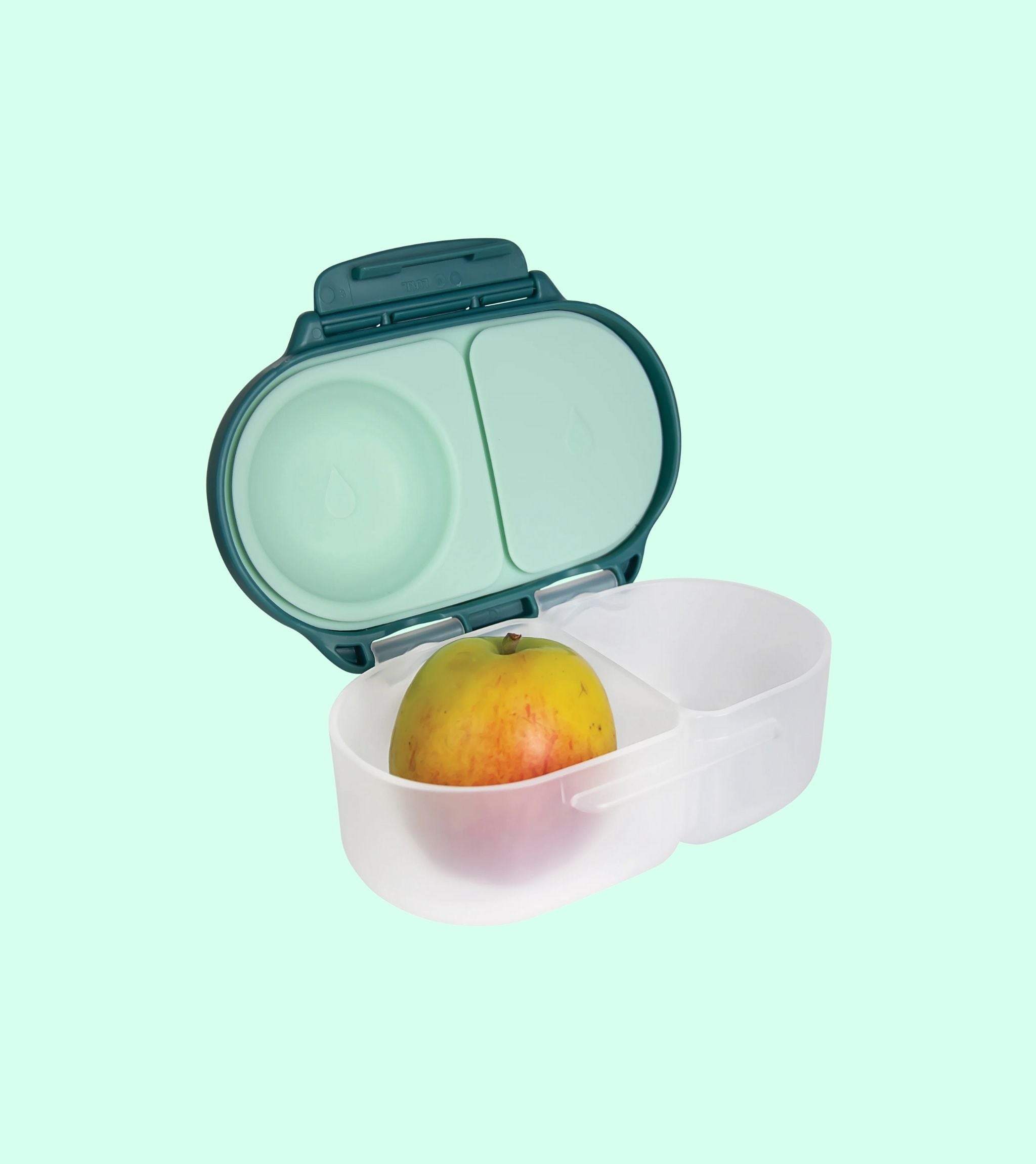 Snackbox Emerald Forest