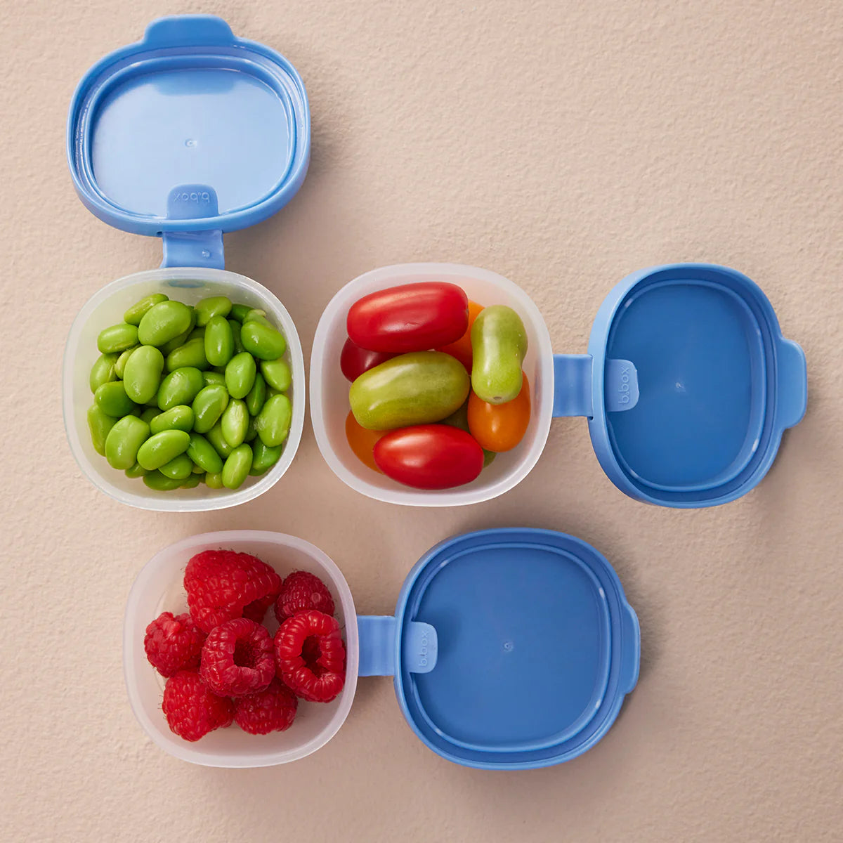 Snack Tubs | Ocean