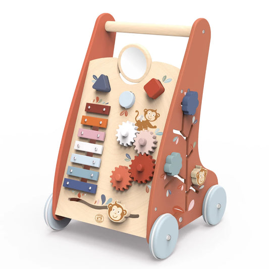 Multi-Activity Push Toy Walker