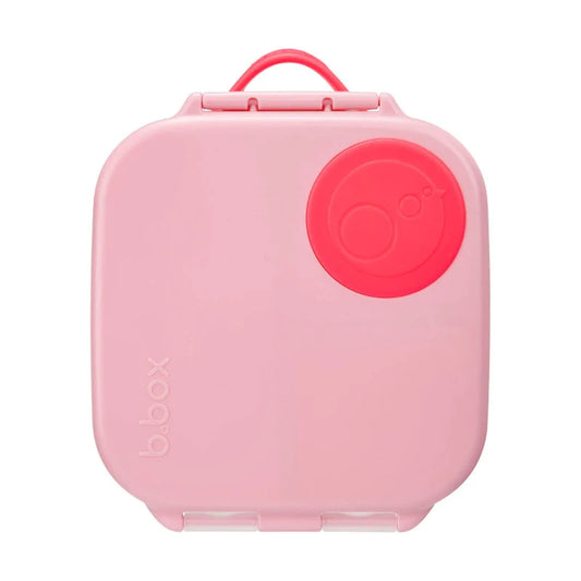 Mini Lunchbox | Flamingo Fizz