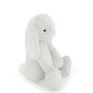 Snuggle Bunnies | Penelope the Bunny | Willow